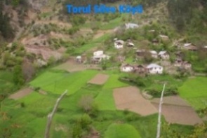 Silveli Sülâlesi